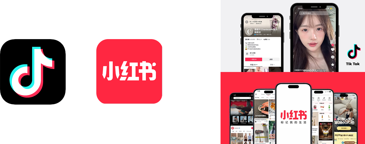 Xiaohongshu and TikTok interface comparison